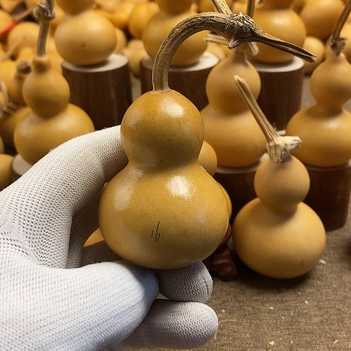 文玩葫芦 完美主义者 慎拍16