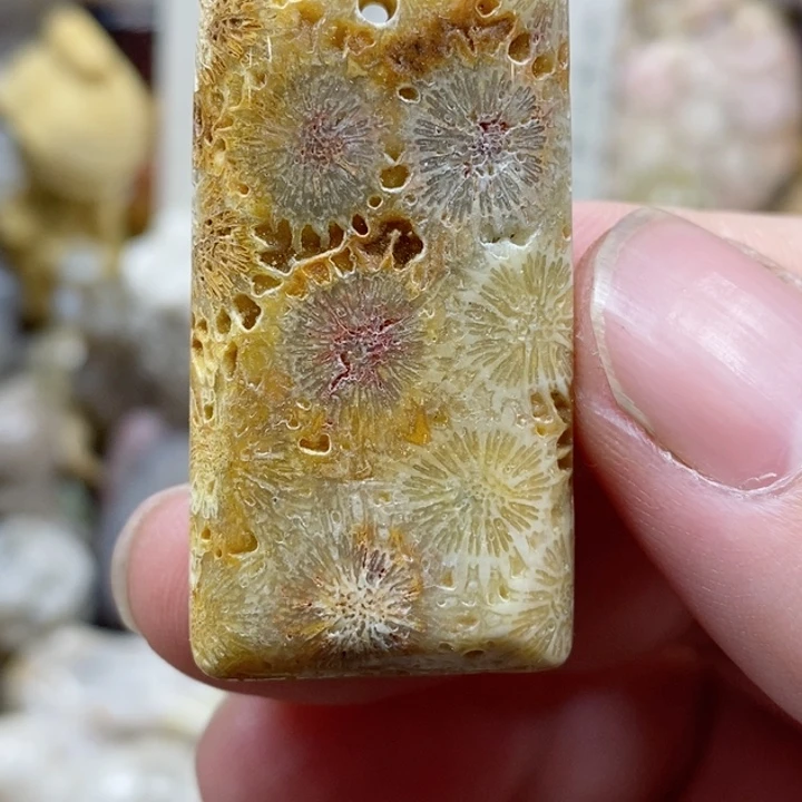 颈饰未镶嵌硅化珊瑚（珊瑚玉）有瑕 小