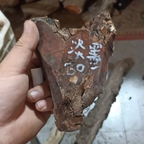 淡***尘柏木火琉璃原叉原叉