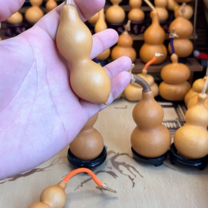 奶嘴大蚂蚁厚皮微瑕7