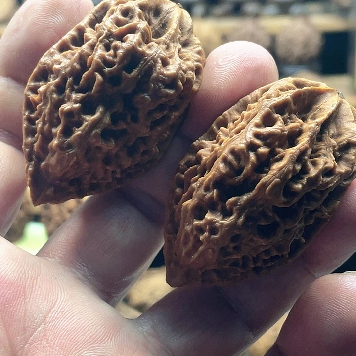 Z***5把件文玩核桃东北核桃