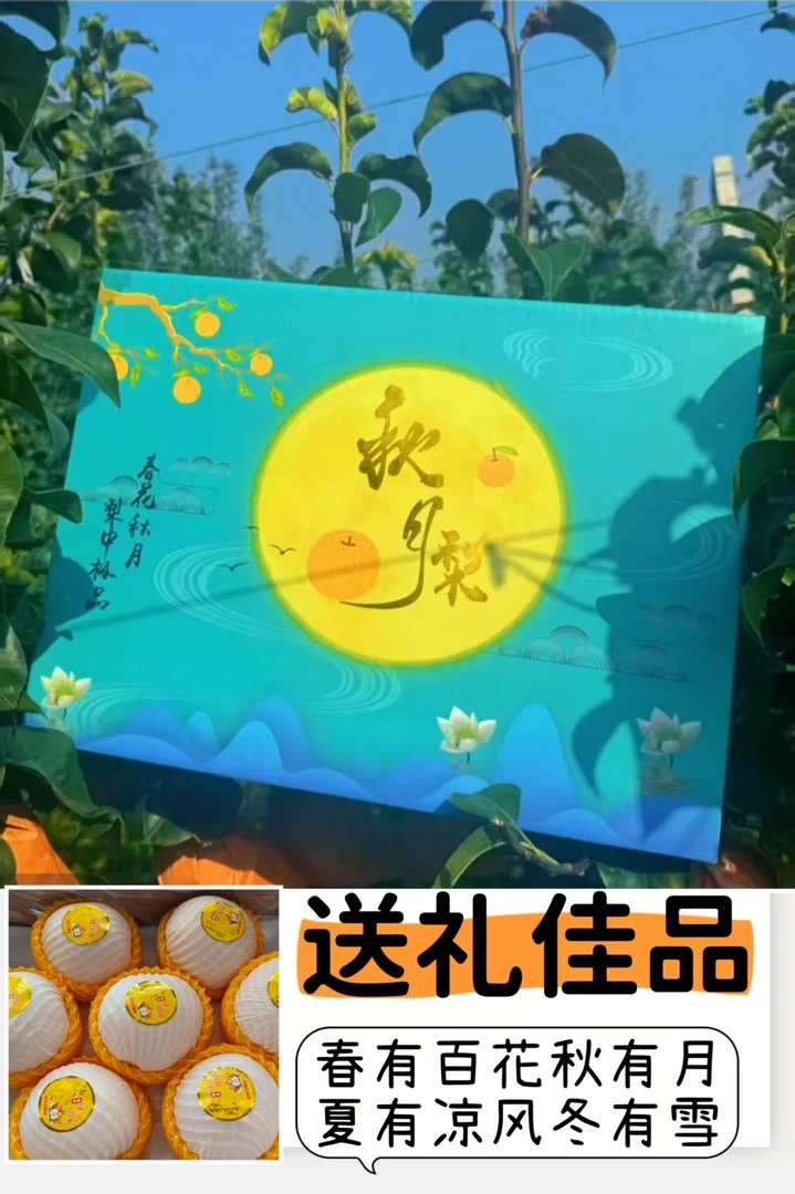 《顺丰》正宗秋月梨精品礼盒 高爆汁 酥脆化渣 果肉细腻 甜度好