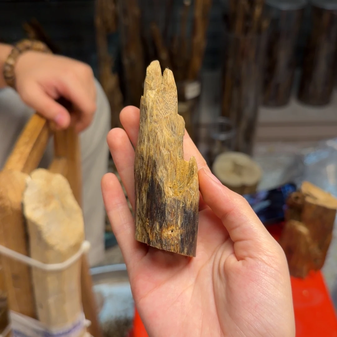 沉香碎屑沉香陆河天然虫漏31克