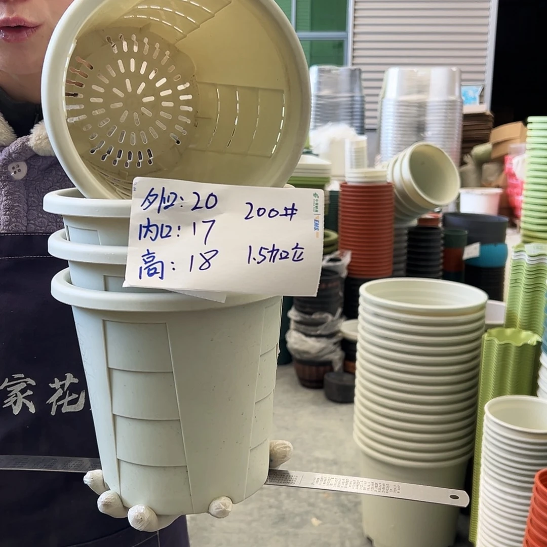 玫瑰盆200#米白5个无托