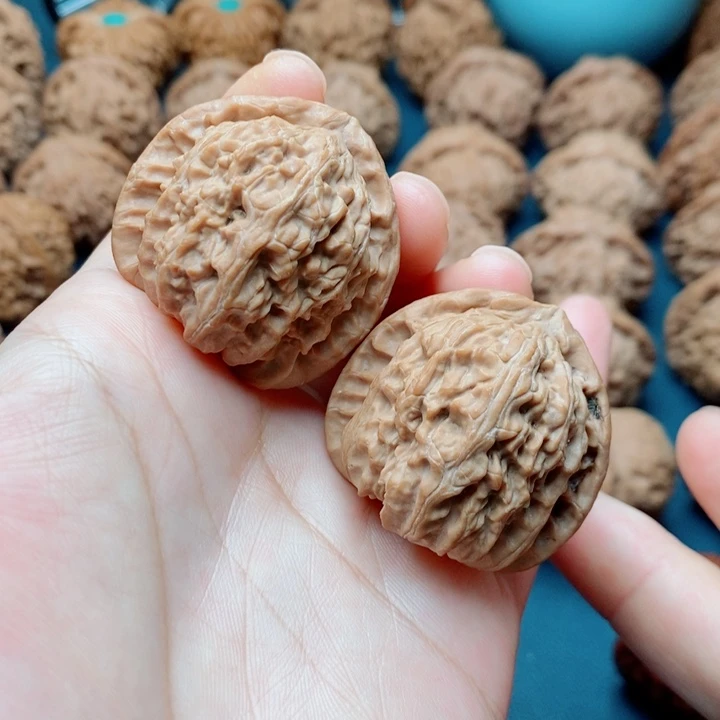 文玩核桃把件白狮子37全品