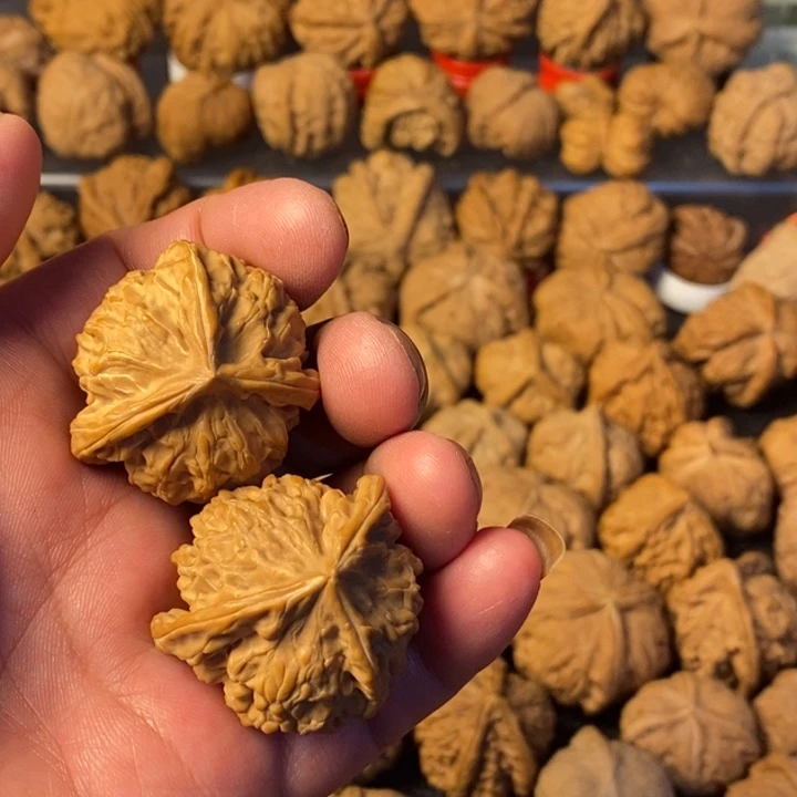 9***9大叶紫檀（黑酸枝木类）