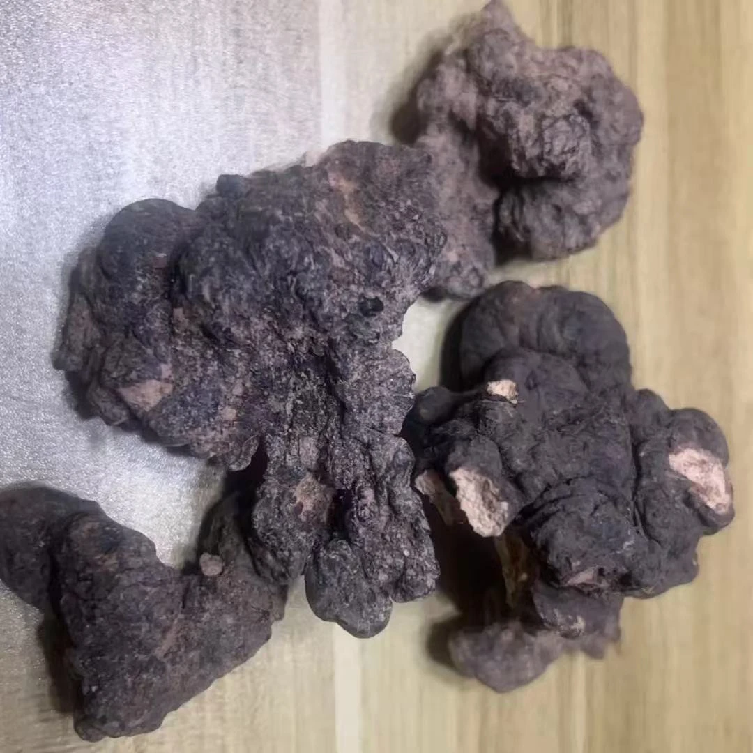 【西藏甄选】西藏 猪令 煲汤煮水山货