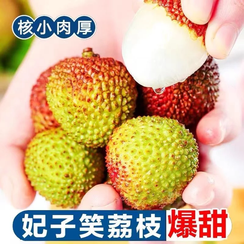 次日达顺丰京东头茬新鲜现摘海南妃子笑荔枝老树大果整箱1-5斤包邮海南省