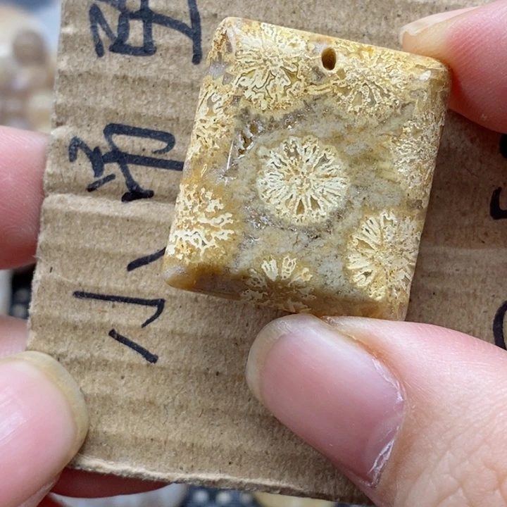 硅化珊瑚（珊瑚玉）颈饰未镶嵌