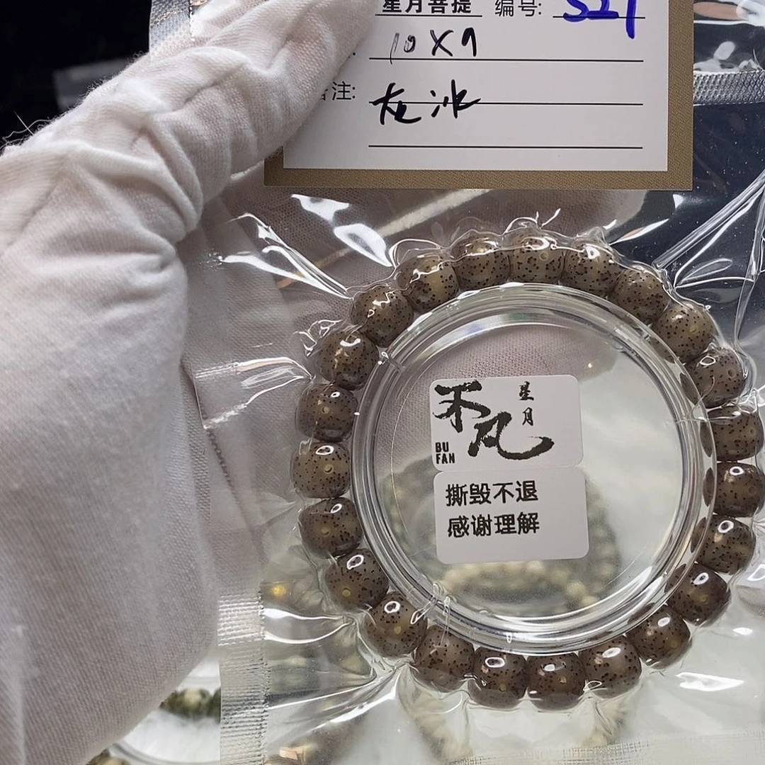 星月菩提手串11112222S27