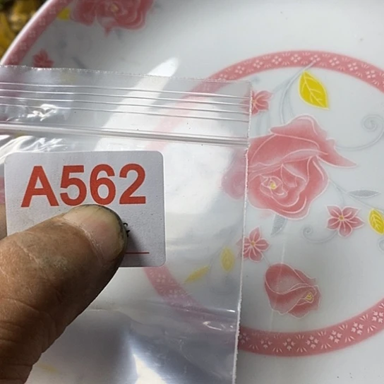 G***9瓷片我想知道为什么要