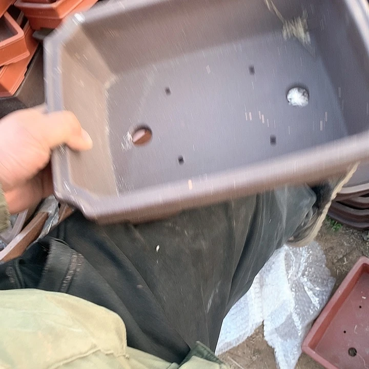 紫砂没有你喜欢吃辣不