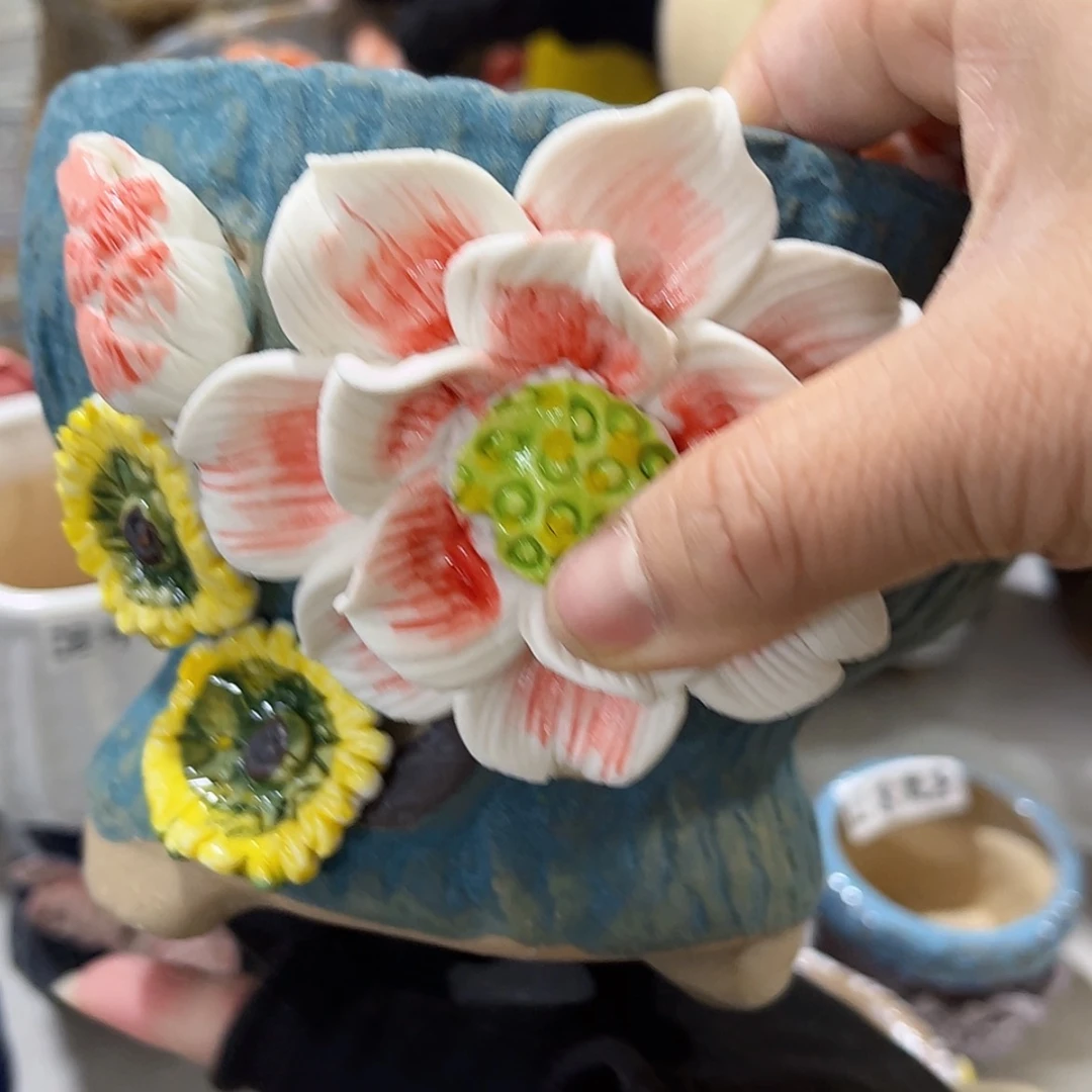 【闪购商品】红陶福利