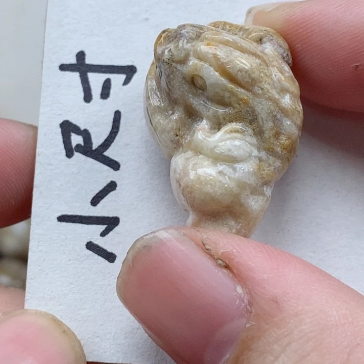 颈饰未镶嵌硅化珊瑚（珊瑚玉）