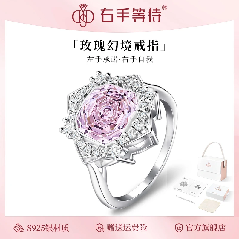 右手等待 925银合成锆石戒指 玫瑰幻境高级感设计指环设计闭口圈