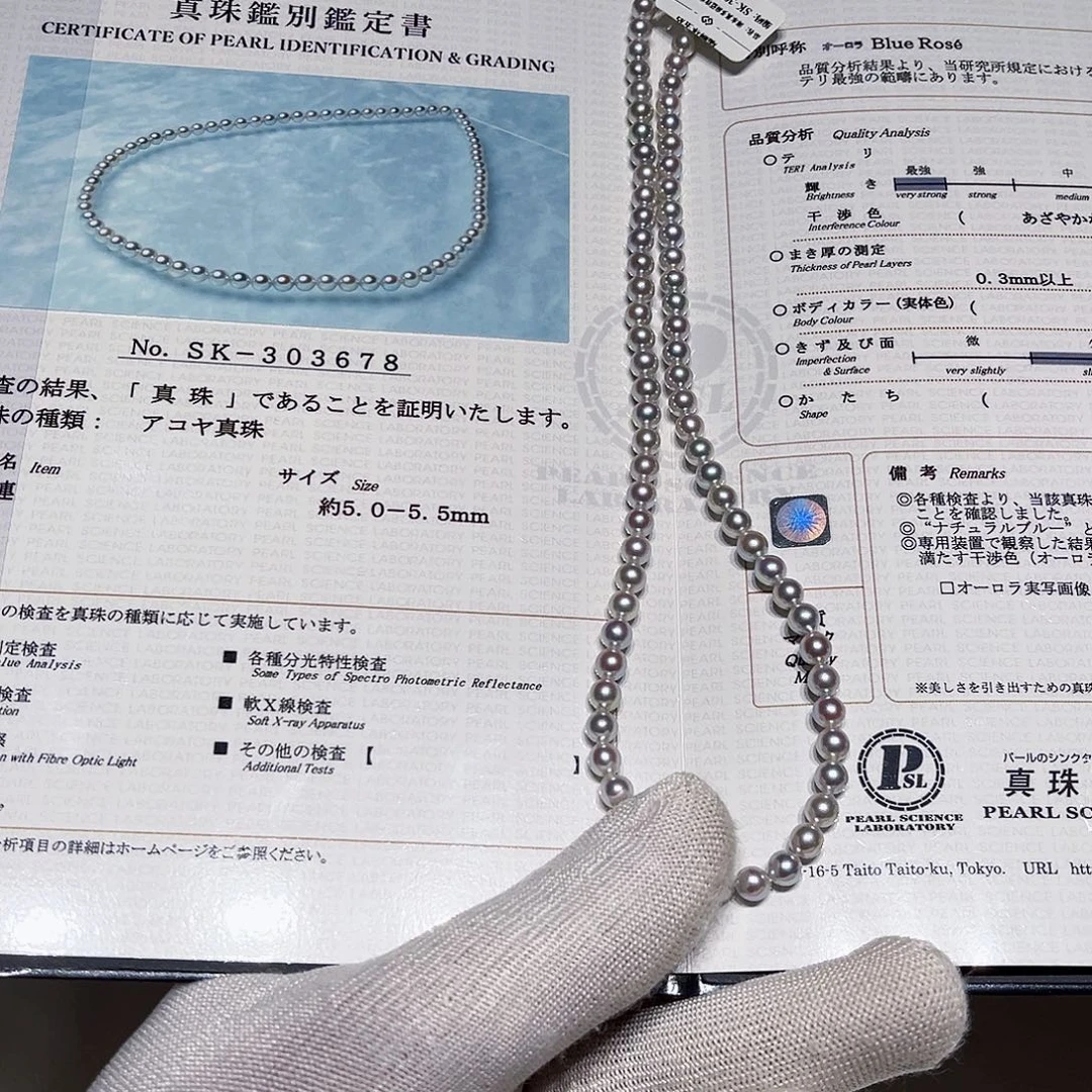 颈饰海水珍珠未镶嵌