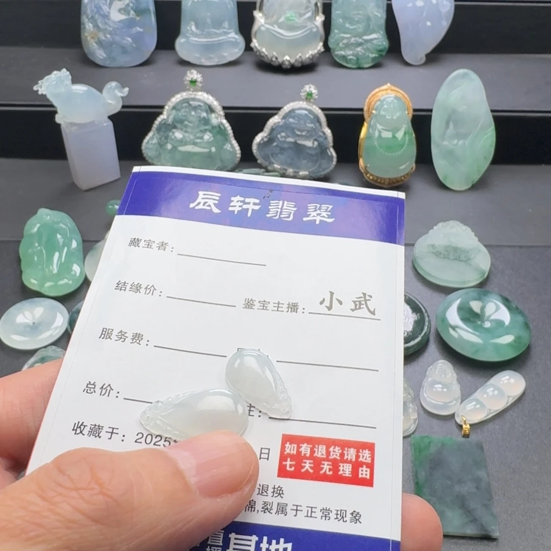 翡翠未镶嵌颈饰    3