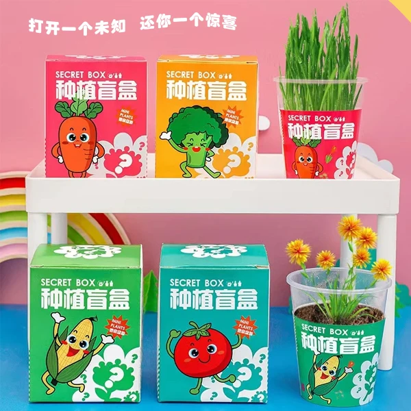 网红罐装种植小盆栽桌面植物父亲节盲盒玩具