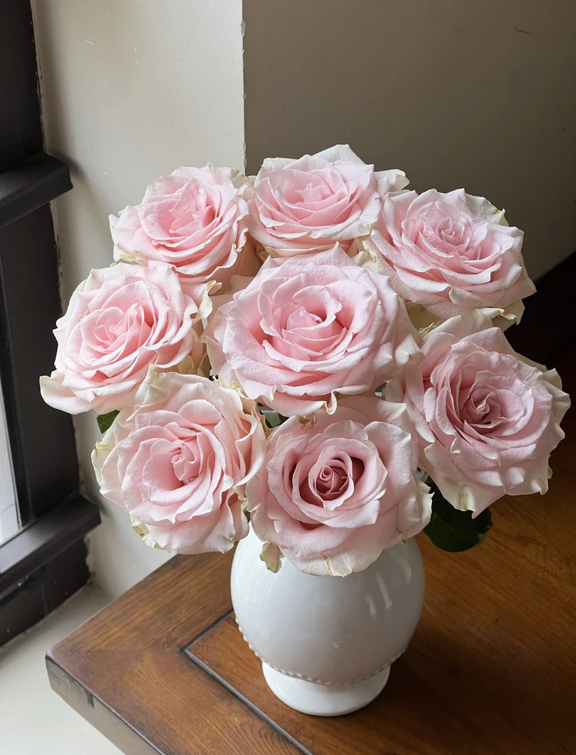 高级【粉爱神玫瑰链接】云南产地直发 | 新鲜采摘