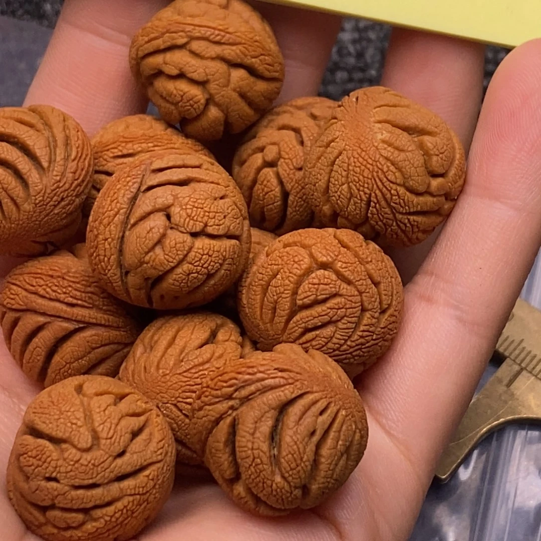 秦岭山脉龙纹桃核单圈