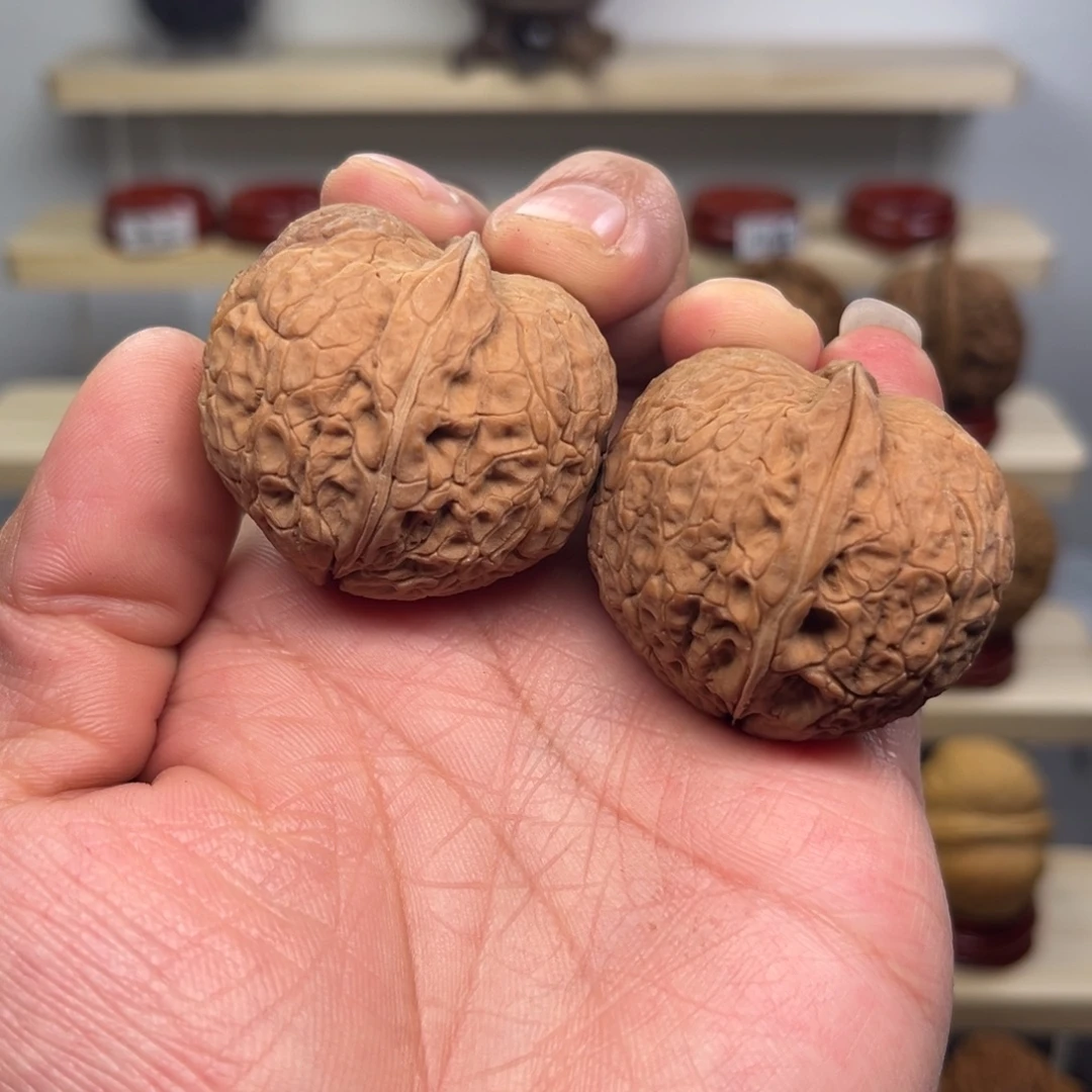 核桃26号麒麟蟒珠38尺