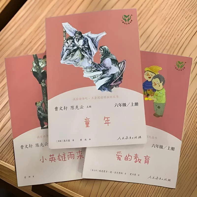 六年级上册人教版快乐读书吧童年爱的教育小英雄雨来必读课外书