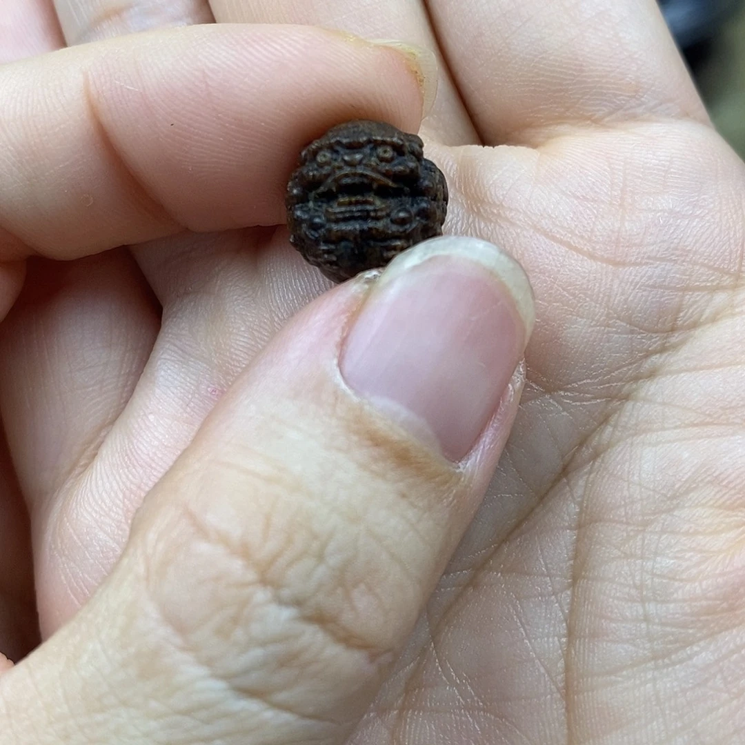 手串/手链贡木巴布亚新几内亚贡木