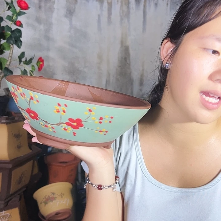 绿斗盆点菜中号一个