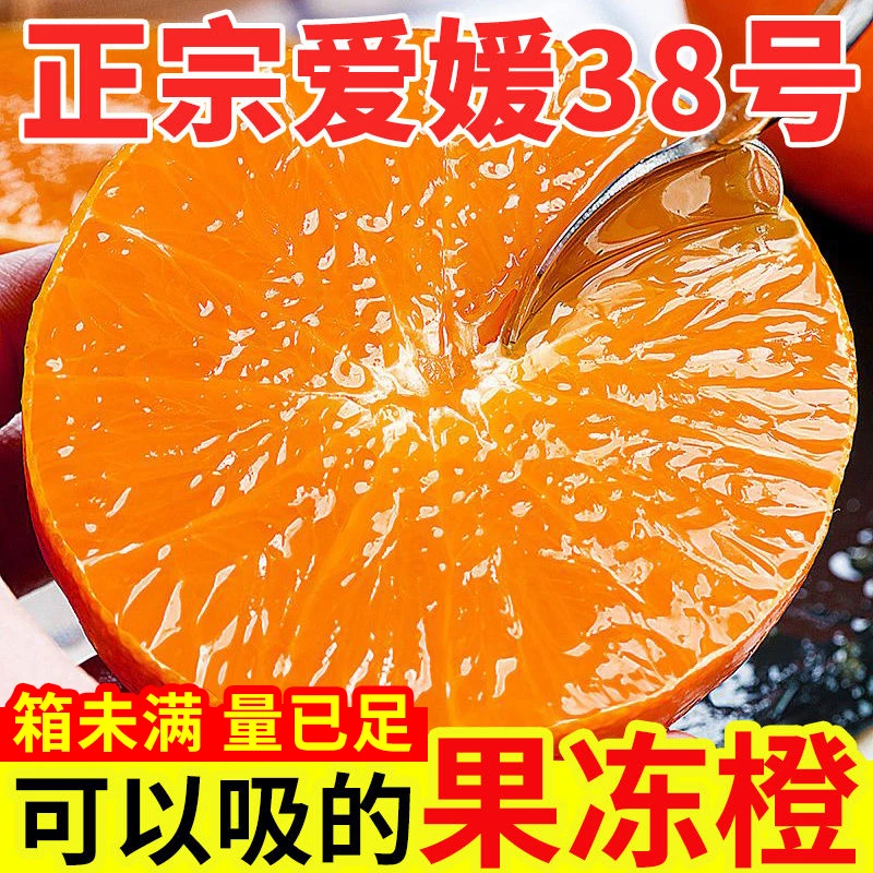 眉山爱媛38号水果果冻橙当季水果鲜橙