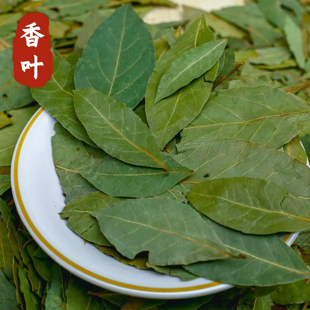 精品香叶调味料品去腥解腻提味增香欢迎品鉴