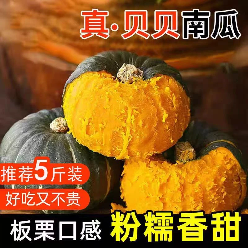 正宗贝贝南瓜新鲜采摘沙地贝贝南瓜粉糯细腻香甜适合孕妇宝宝辅食