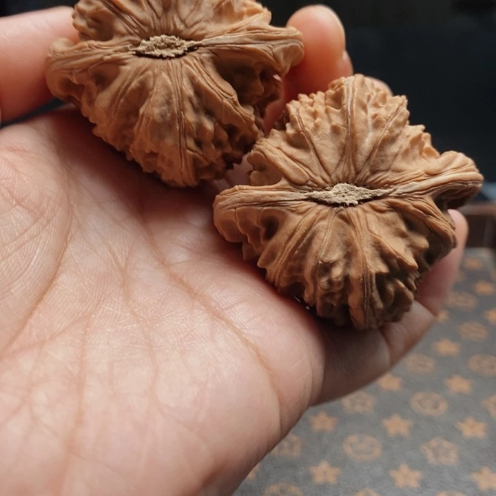 把件文玩核桃白狮子45尺