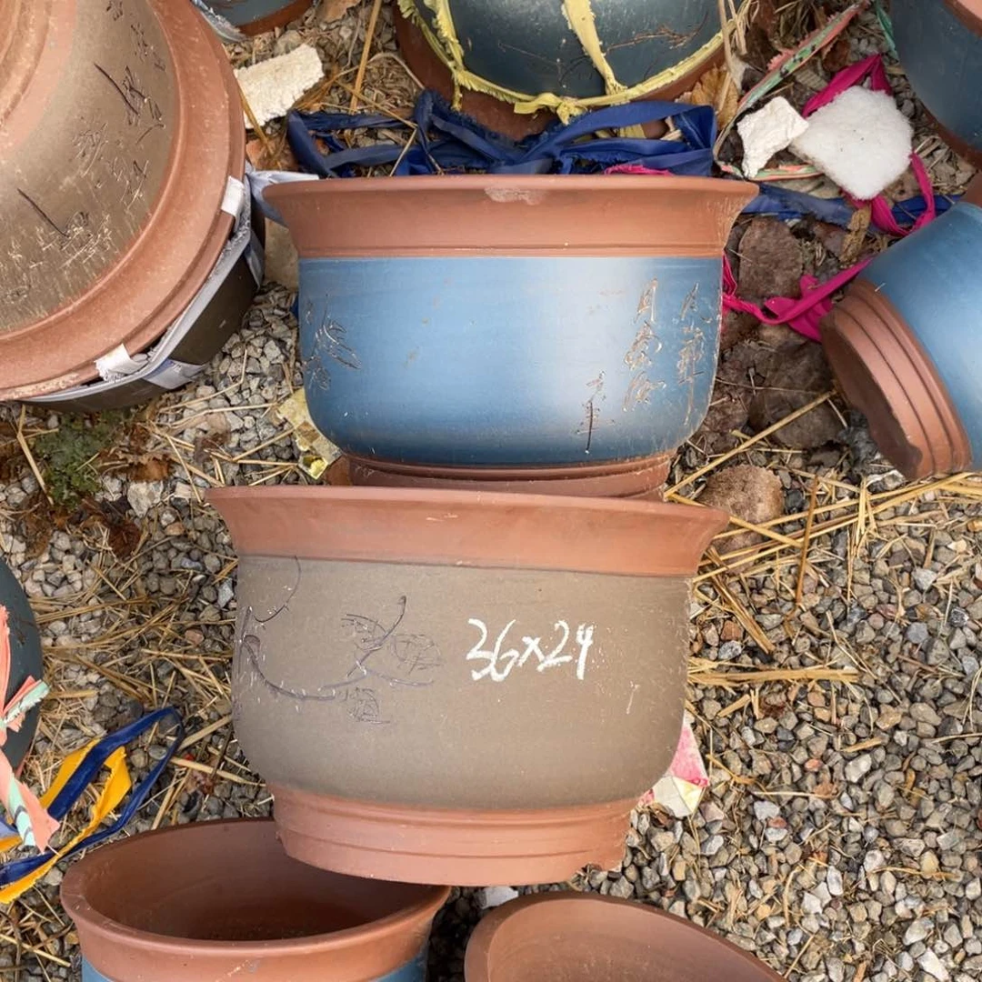 紫砂金钟 36*24 一组俩支