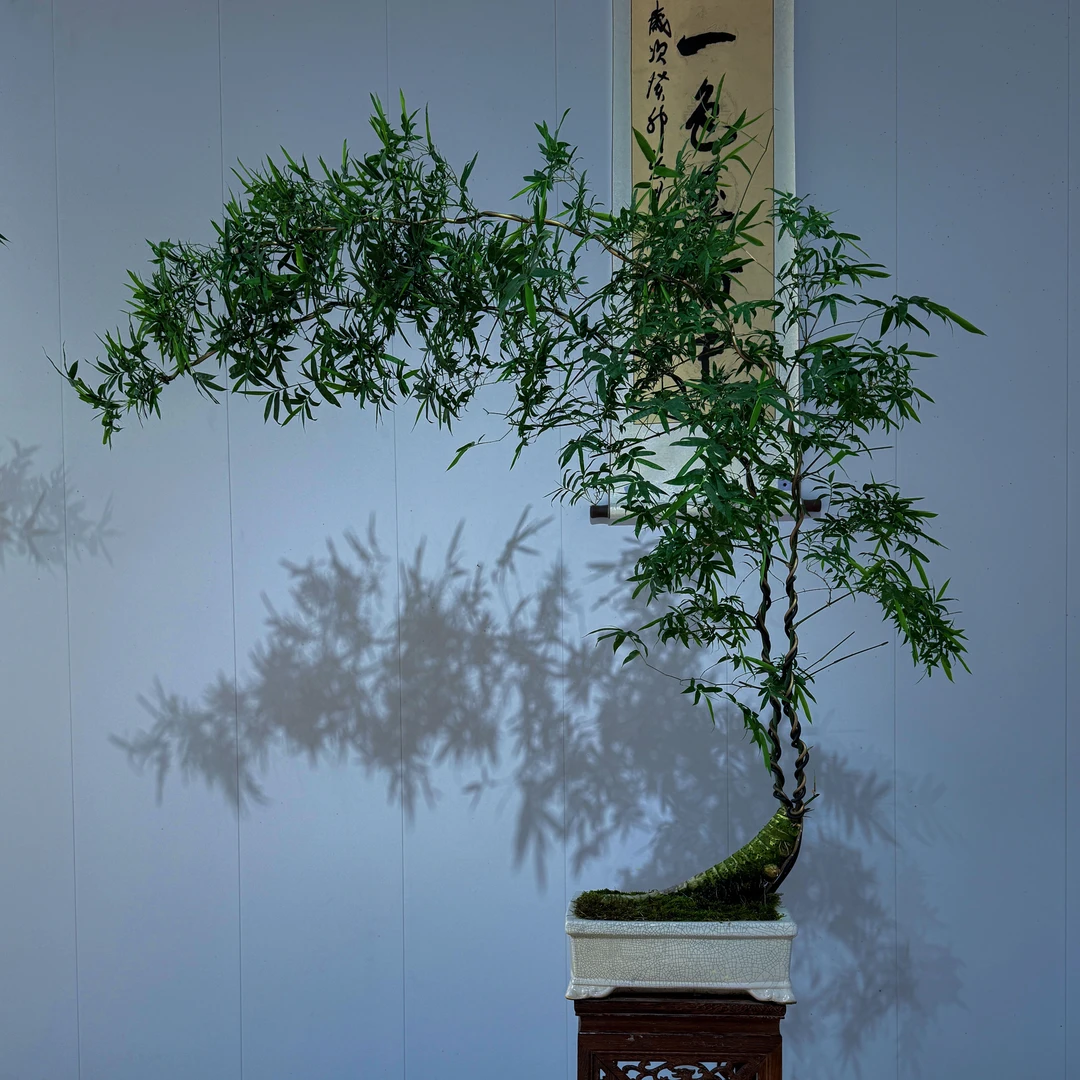 茶台精品#百搭精致款茶台必备，提升茶空间禅意意境感，新手入门级。