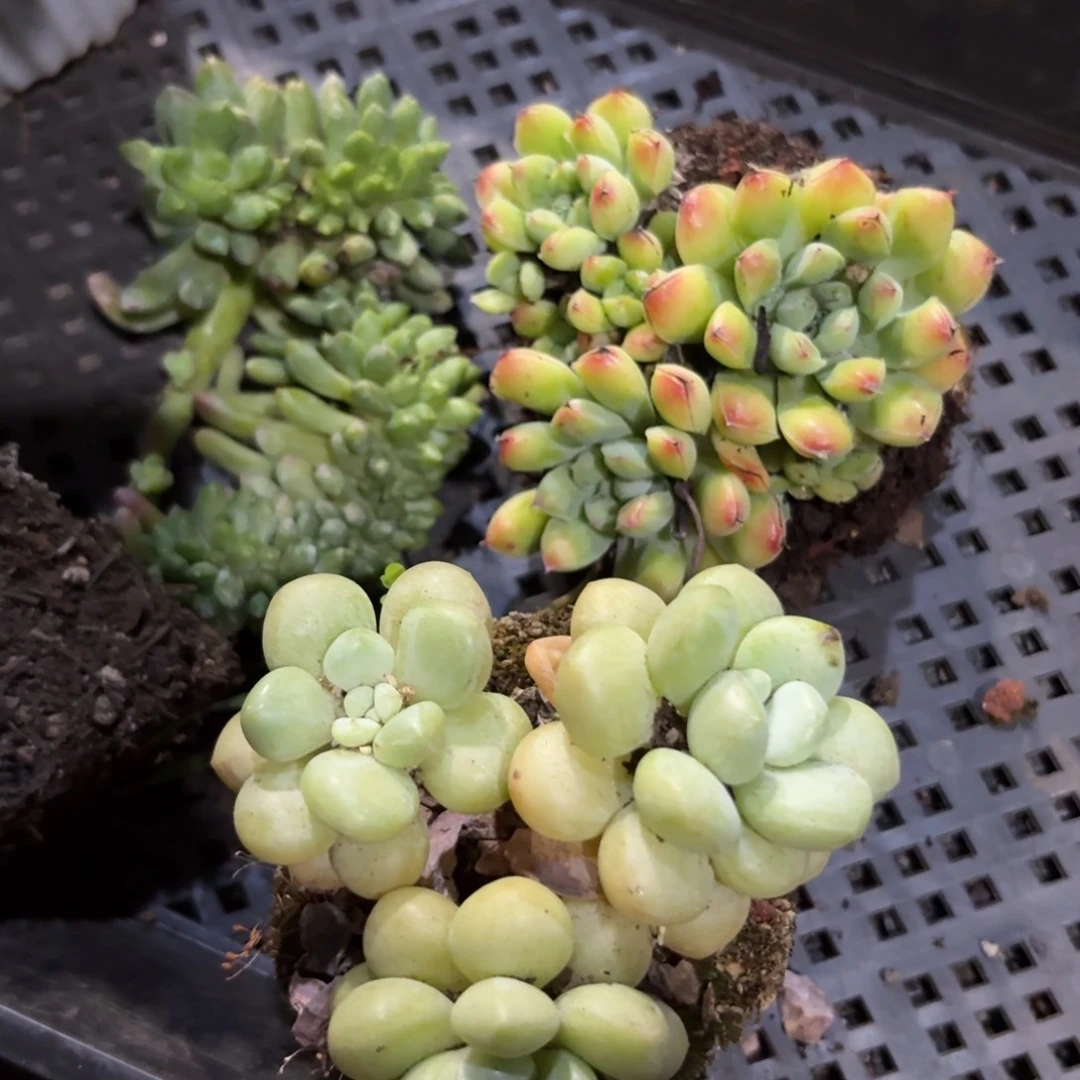 骉*三个啊啊啊啊