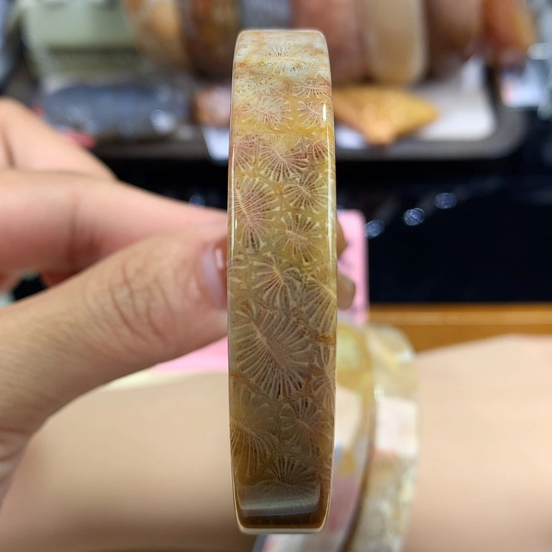 硅化珊瑚（珊瑚玉）未镶嵌吊坠(赠链)3号53圈口
