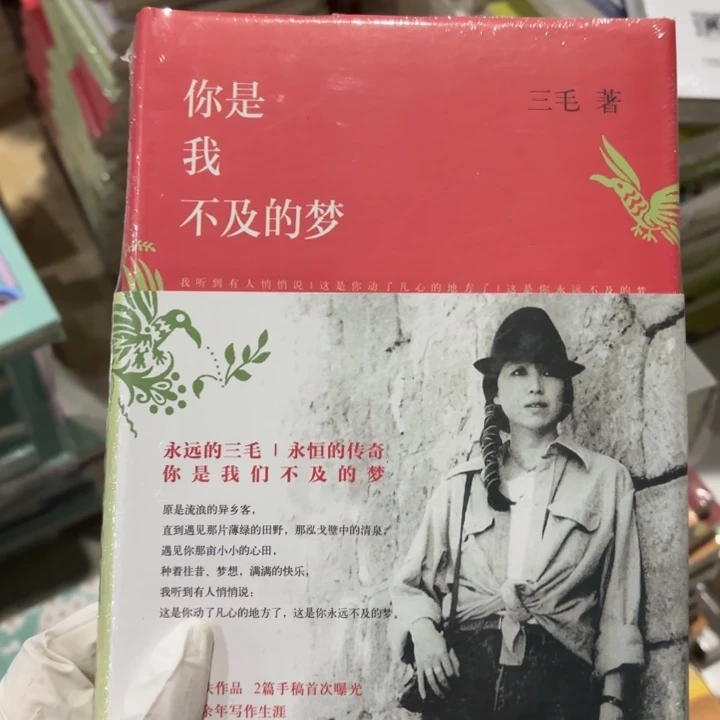 你是我不及的梦 闪购8