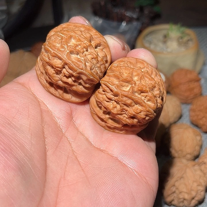 张***n木41全品山地磨盘