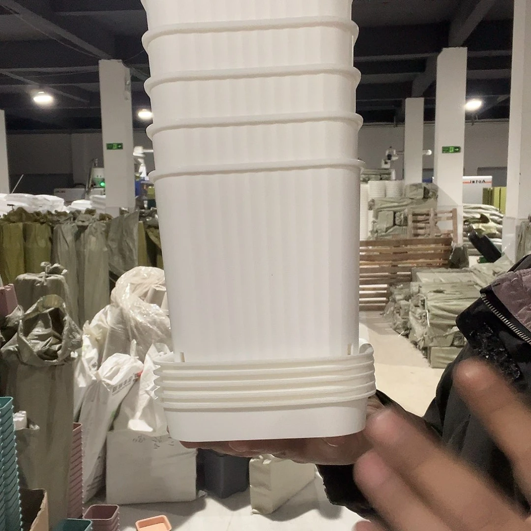 14方白色5个带托盘