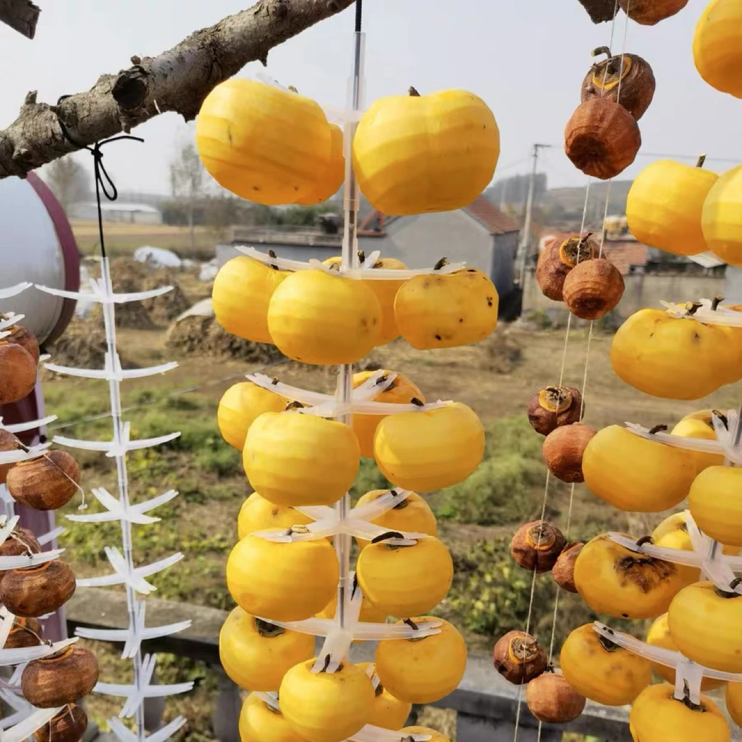 新款和幸柿饼晾晒架塑料挂架柿子吊柿饼神器十字夹子工具柿子饼夹