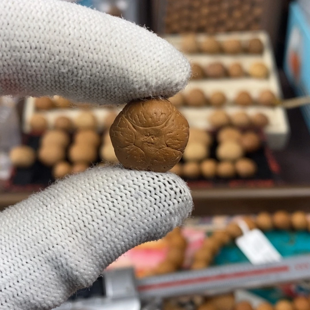 凤眼菩提吊坠16.7五星单颗