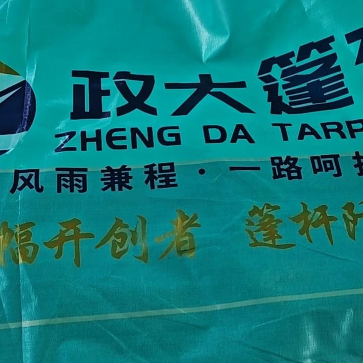 绒质6666666666666666666666666666666