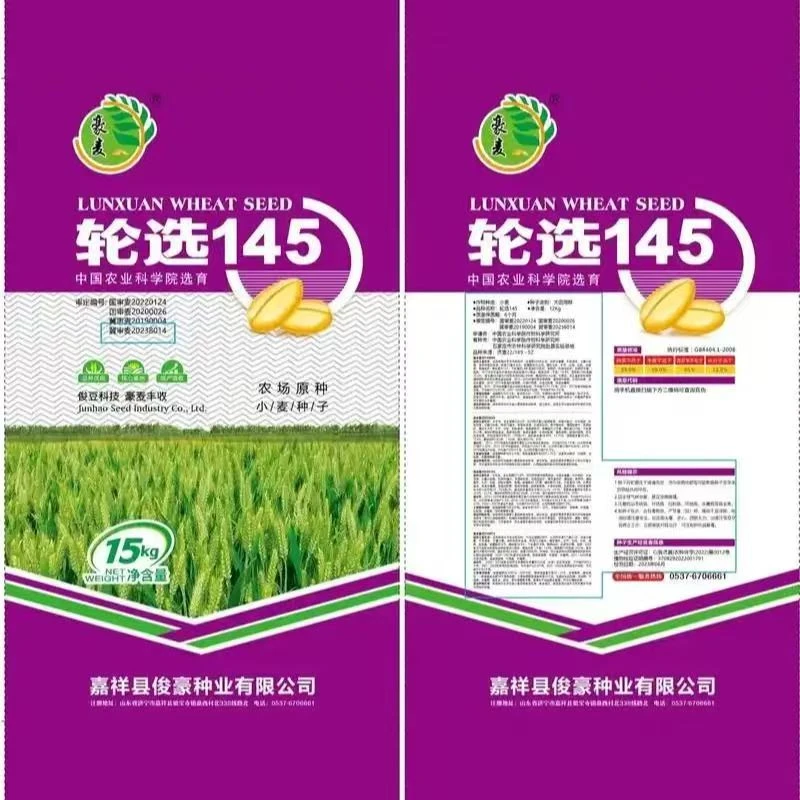 双国审超高产小麦种子轮选145高产小麦品种推荐高产小麦种子批发