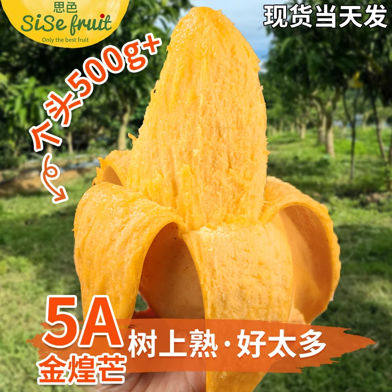 【思色】正宗广西南宁金煌芒新鲜水果当季芒果超甜现摘现发整箱包邮