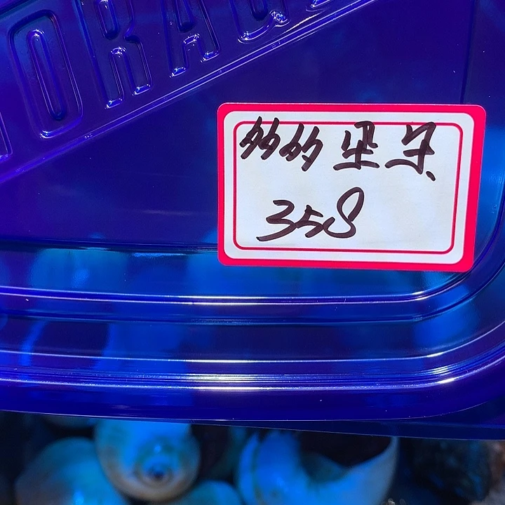 多多朵朵专拍奔跑