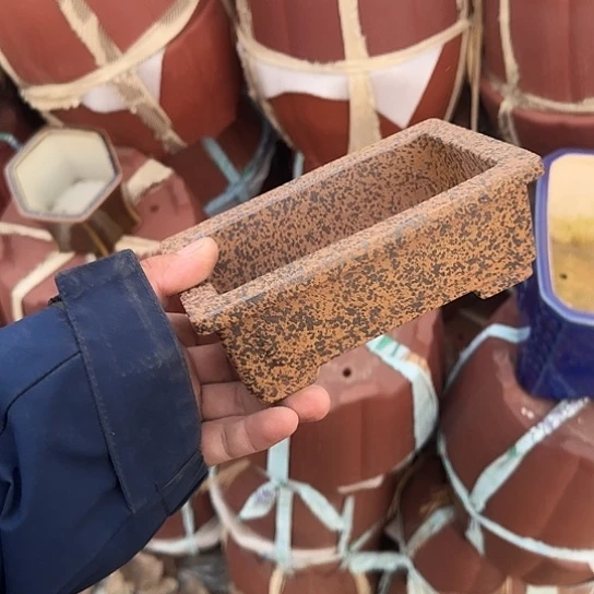 不去看书啊哈是真的想吐是因为没有了吗还是