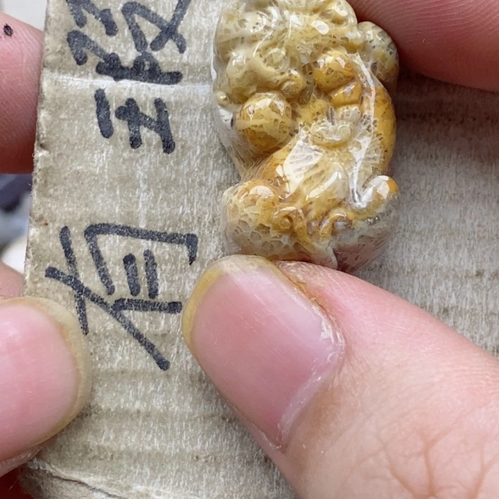 颈饰未镶嵌硅化珊瑚（珊瑚玉）十