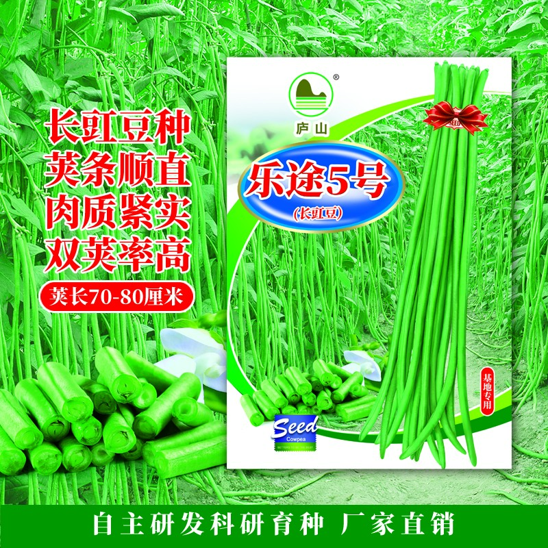乐途5号长豇豆种子