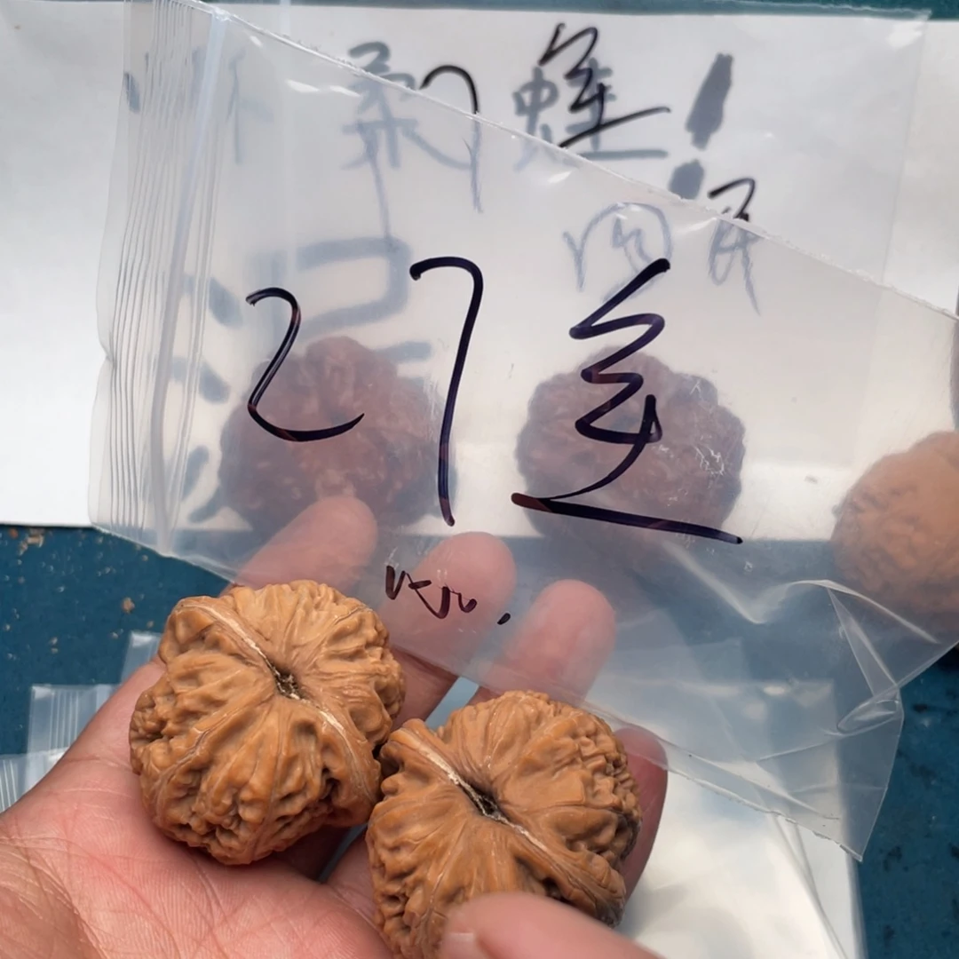 核桃W947947794964496949