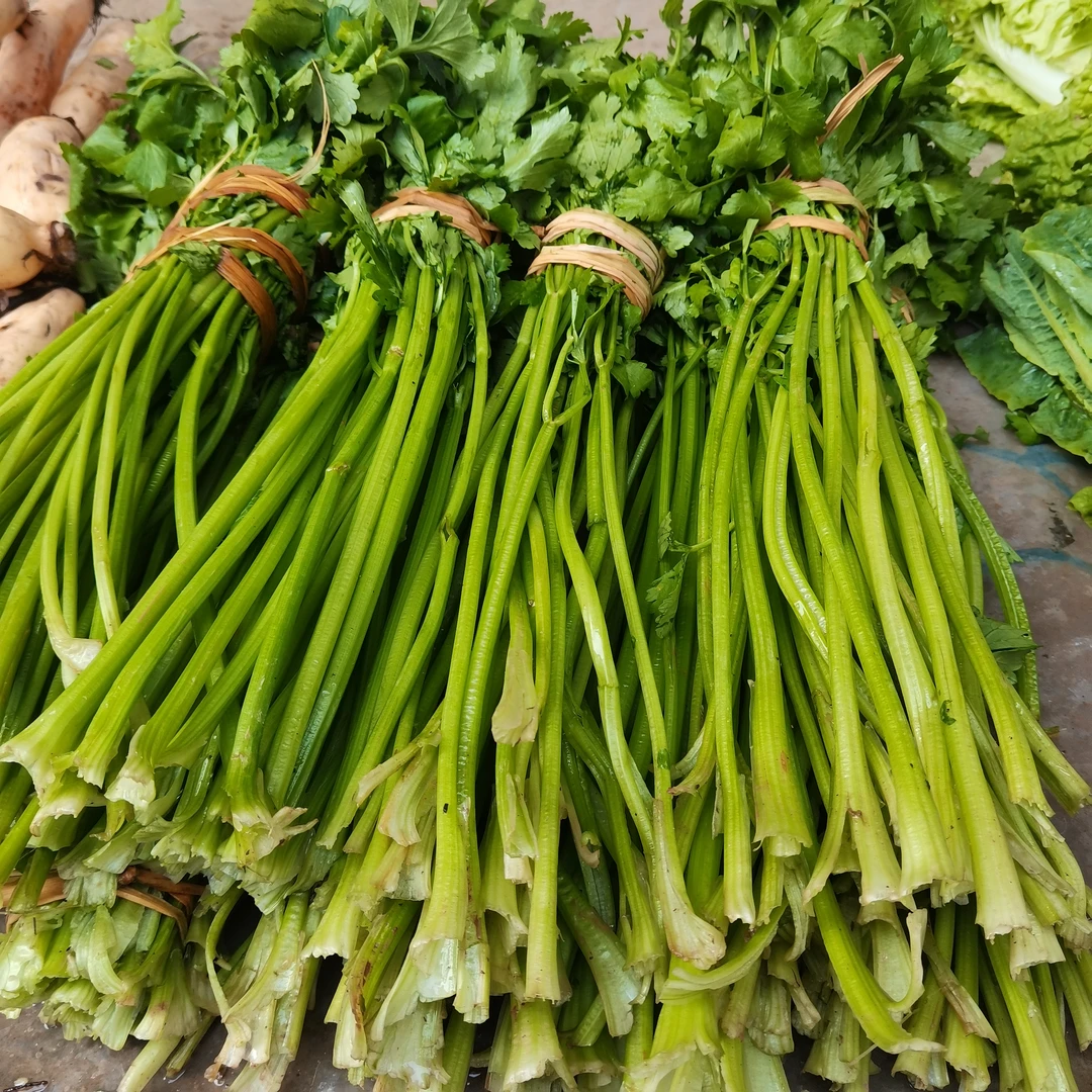 现摘四川巴中农家小香芹菜西芹新鲜包邮